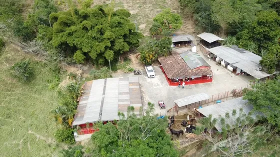 Se Vende Finca Ganadera En Armenia Mantequilla A Tan Sólo 3 Kilómetros Del Parque Municipal 