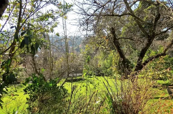 Casa En Venta En Villuco