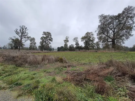Parcela En Venta En Osorno