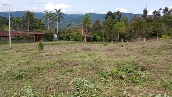 Venta De Lote En El Carmelo, Km 30