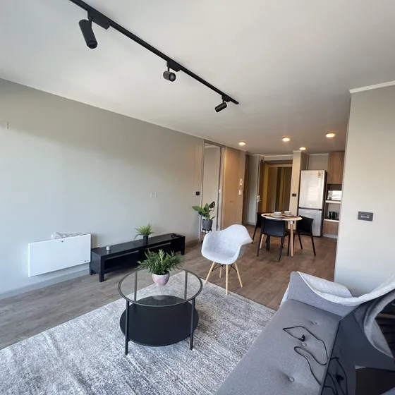 Arriendo Departamento 2 Dorm Nuevo Providencia Metro Inés De