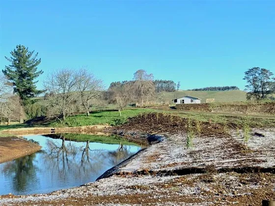 Preciosa Parcela Sector Pichilaguna En Venta En Llanquihue