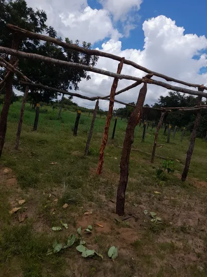 Vendo Uma Chácara Uma Linha Ir Meia De Terra 