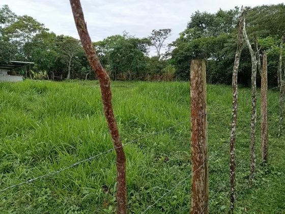 Vendo Lote, 872 M/2. (2.860 Pies). Nance Bonito, Potrerillos Abajo, Chiriqui.-lot For Sale, 872 Sq M (2,860 Sq Ft).