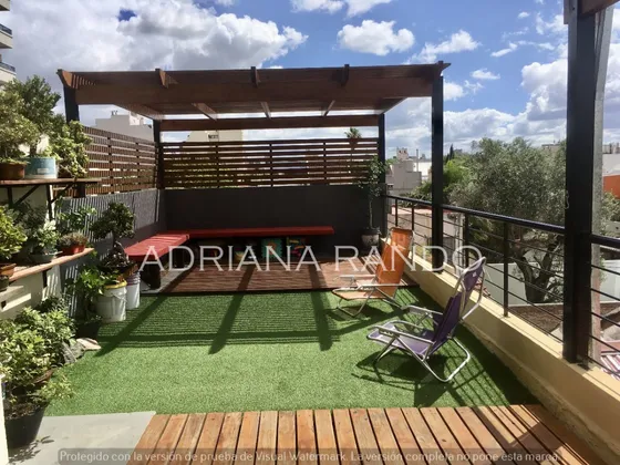 Excelente Ph De 3 Ambientes +  Patio Y Hermosa Terraza