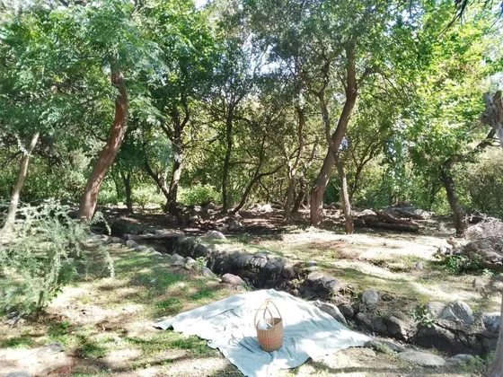 Terreno De 3.600mts2  En Venta En Venta En Luyaba, Traslasie