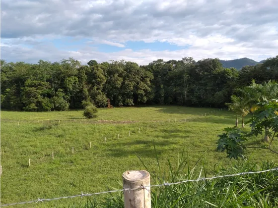 Venta De Lote En Parcelacion Viterbo Caldas