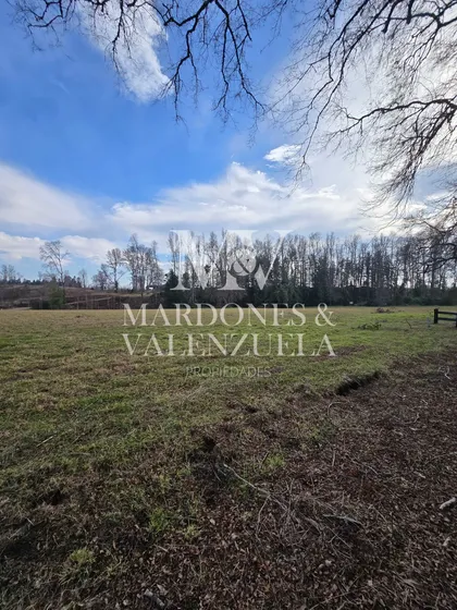 Exclusivas Parcelas A Orilla De Carretera (173809)