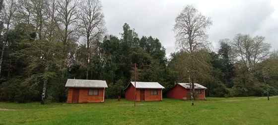Terreno 2 Hectáreas,ruta 5, Los Lagos $180.000.000 
