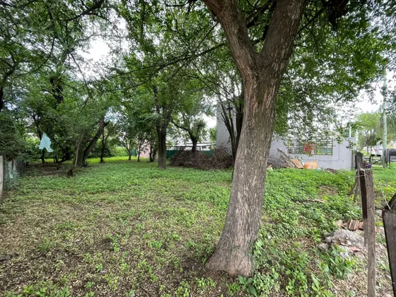 Sobre Av. Tissera, El Talar De Mendiolaza. Terreno/lote En Alquiler De 525m2