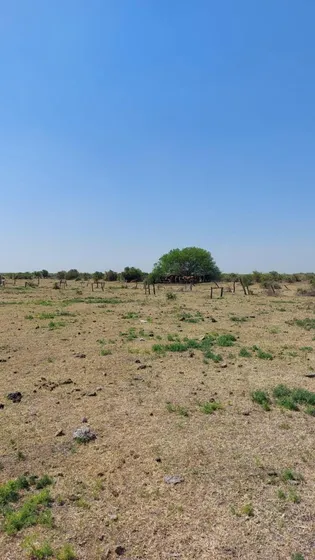Campo En Venta - 15.000hectáreas - Santa Fe