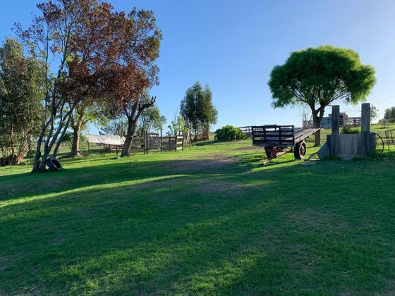 Venta Campo - Haras En Sauce Con 2 Casas