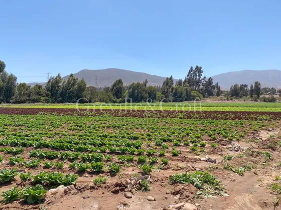 Parcela En Altovalsol, 10ha Planas (99211)