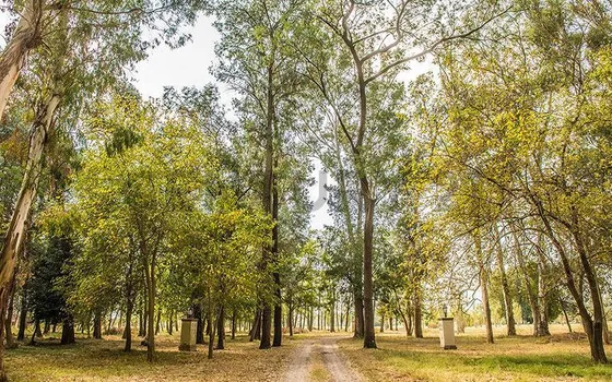 Lote A La Laguna En Venta En Barrio Villa Maria - Los Silos