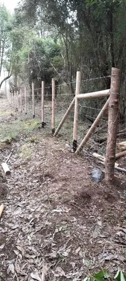 Campo 7,4 Has En Río Bueno-lago Ranco (64744)