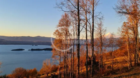 Parcela En Venta En Panguipulli