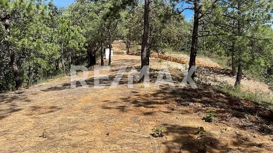 Rancho En Venta 