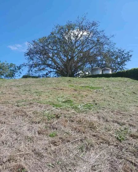 Lote En Venta En El Kilometro 41/caldas (279061323).