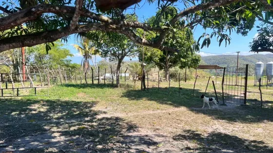 Ez Platinium En Venta Finca Agropecuaria Guigue Carabobo