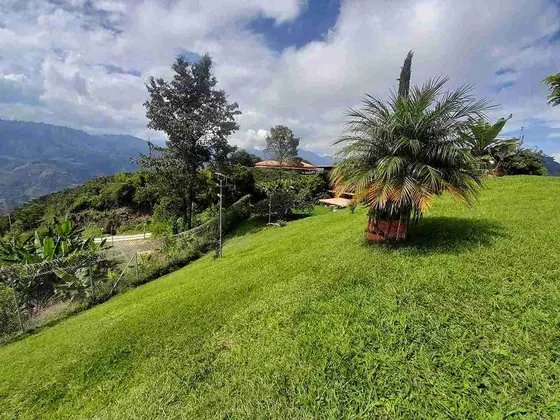 Finca En Venta Vereda El Naranjo / La Siria (279058367).