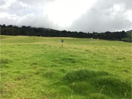 Lote En Venta Sector La Acuarela, Alto De Las Palmas Envigado