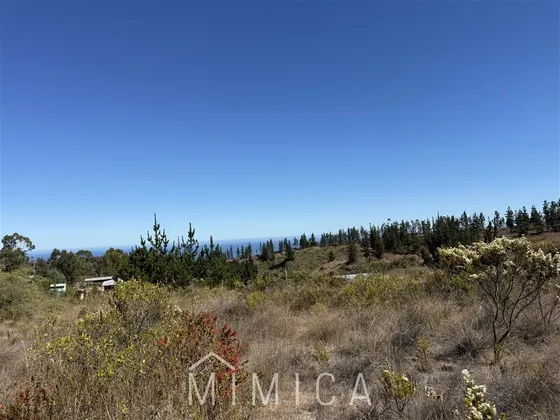 Vende Mimica Propiedades Algarrobo