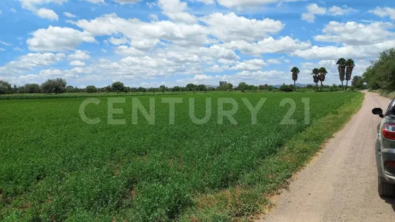 Terreno Rustico En Venta En Rincon De Romos