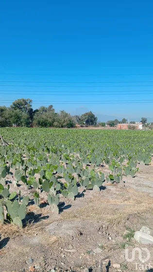 Venta Terreno 0 Ambiente San Antonio Cacalotepec