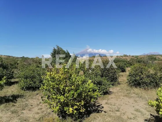 Terreno En Venta En Santa Isabel Cholula