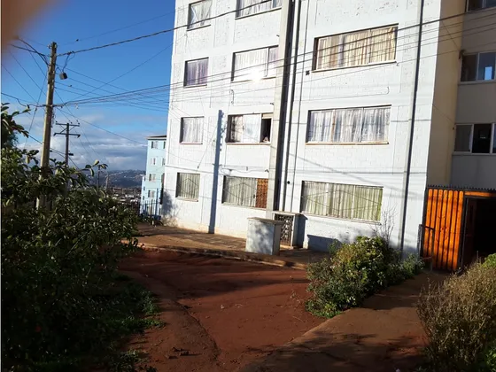 Departamento Forestal Alto Viña Del Mar