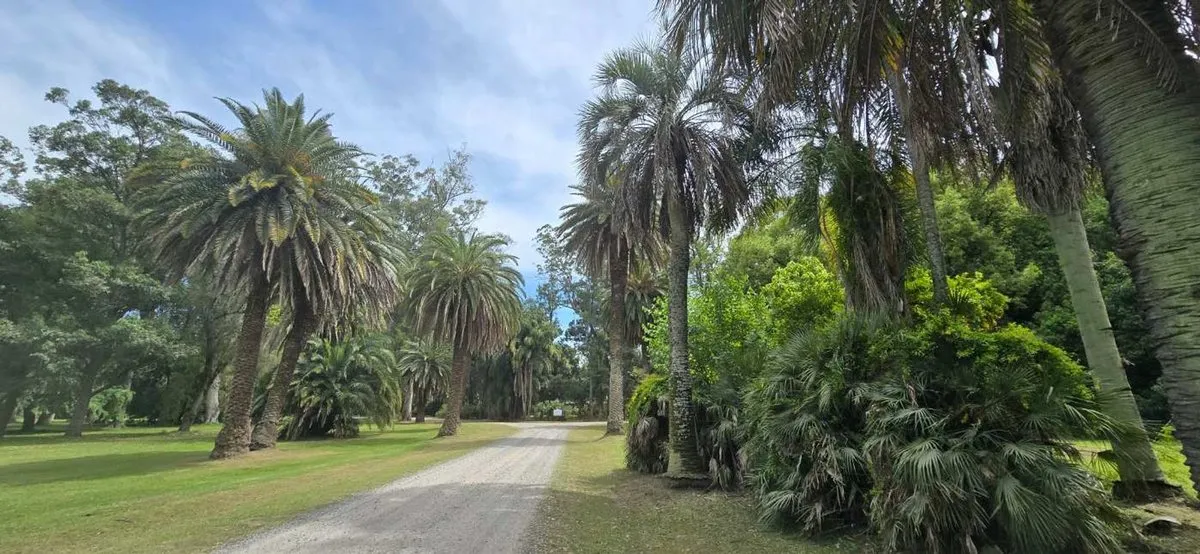 Lote De 4300 M² En Sector Golf Villa María