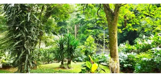 Venta De Apartamento En San Lucas, El Poblado