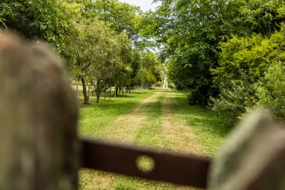 Muy Buenas Chacras De 1 Hectárea. Viví En Tranquilidad Del Campo, A Metros Del Río De La Plata Y Minutos De Colonia Del Sacramento.