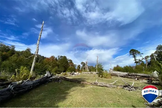 Se Vende Campo Para Inversión - Huife Pucon Chile