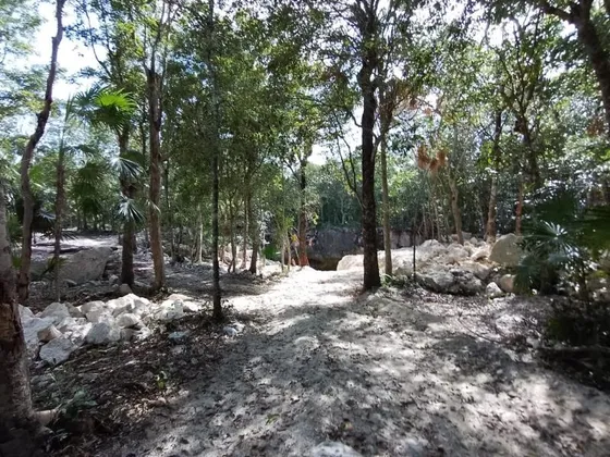 Terreno En Venta En Akumal