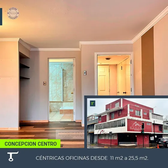Oficinas En Arriendo En Centro De Concepción