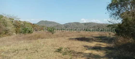 Milagros Inmuebles Terreno Venta Cabudare Lara Av Intercomunal Barquisimeto Acarigua La Campiña Economica Residencial Economico Comercial Código Inmobiliaria Rent-a-house  25-3380