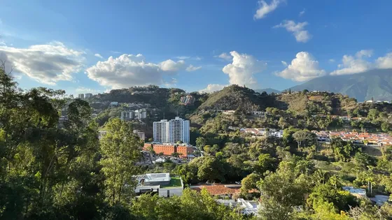 Anexo En Alquiler Cerro Verde,baruta Central,260 M²c/110m² T,np