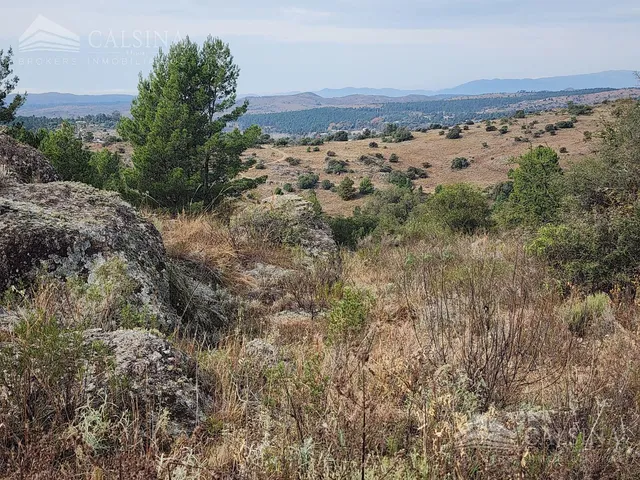 Campo En Venta  En San Clemente, Córdoba