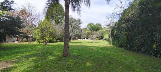 Venta Casa Quinta 3 Amb Tristan Suarez Parque