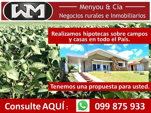 Venta Campo Flores Hipotecas En Campos Y Casas En Uruguay