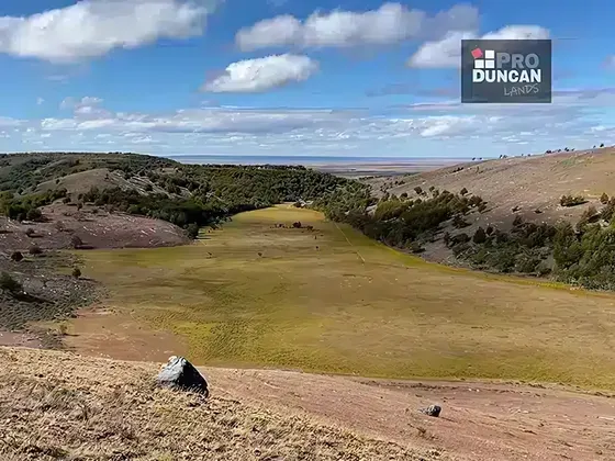 Estancia De 4788ha En Laguna Blanca, Región De Magallanes