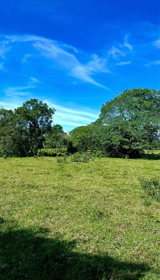 Hermosa Finca En El Llano