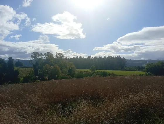 Terreno Ubicado A 6 Km De La Union, Sector Cudico
