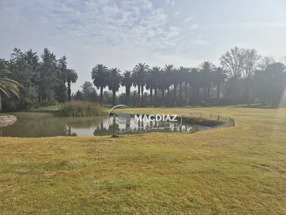 Exclusivo Las Palmas De Oliveto Club De Golf