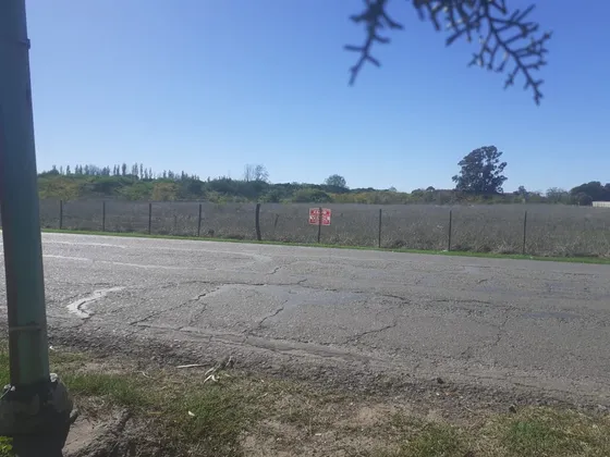 Oportunidad Única: Quinta De 9.359 M2 Ubicada En Suipacha, Provincia De Buenos Aires 