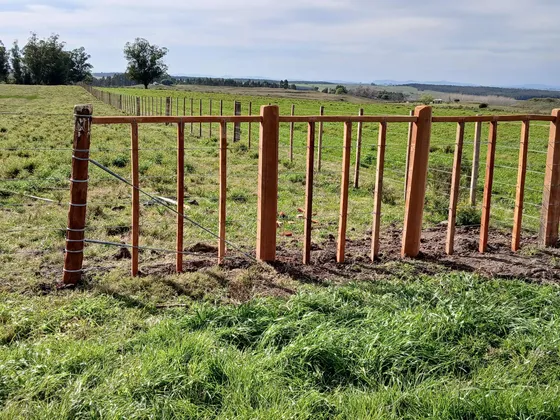 Campo Agrícola Ganadero