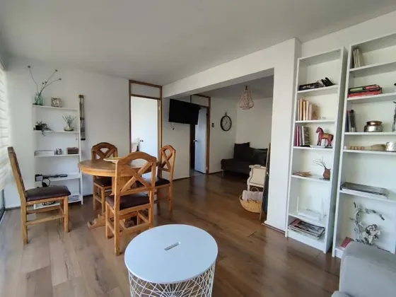 Departamento Amoblado Arriendo De 3 Dorm. En Providencia