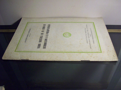 Adp Vision Sintetica De Un Curso Intr A La Bibliotecologia (Usado)