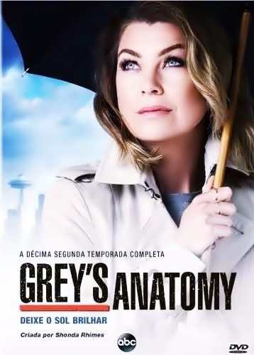 Grey's Anatomy 12ª Temporada Dublado Legendado+ Frete Grátis